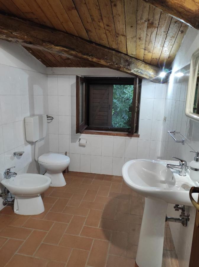 Agriturismo Difesa Del Monte Grisolia Εξωτερικό φωτογραφία